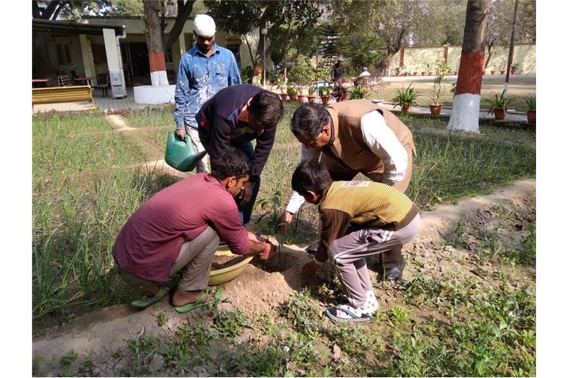 Tree plantation at Cheshire Home Lucknow