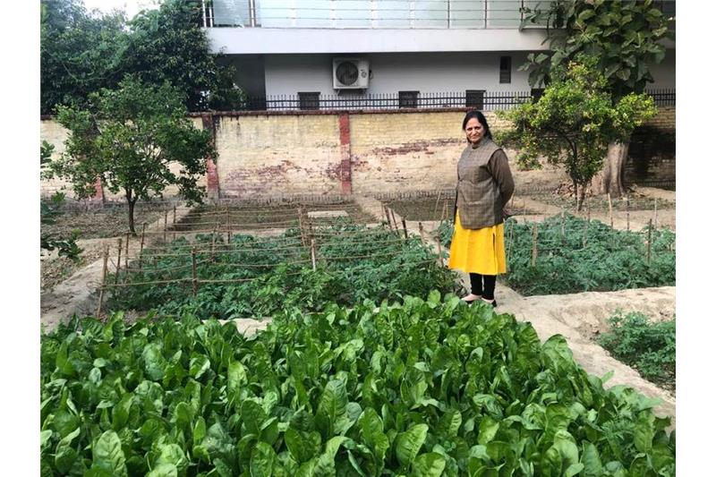 Admiring Cheshire Home Lucknow Kitchen Garden