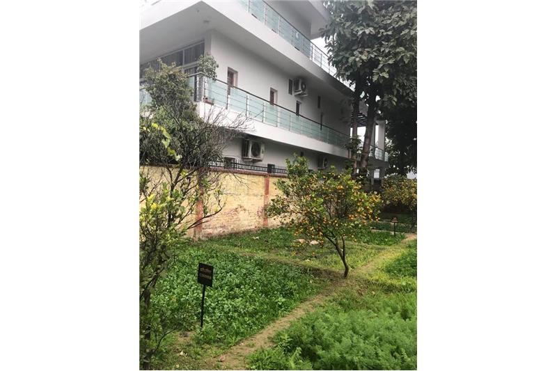 Cheshire Home Lucknow Kitchen garden 11 Jan 2020