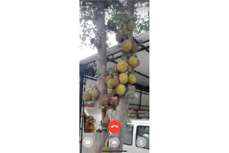 Summer Vegetables at Cheshire