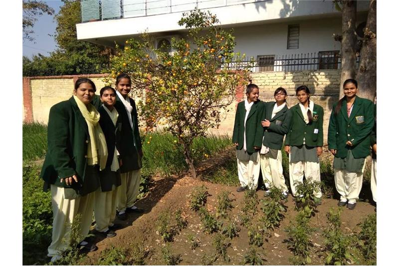 Children from SKD Academy visited the Cheshire Home Today. 29/1/2019